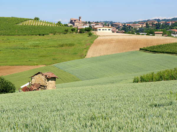 Territorio